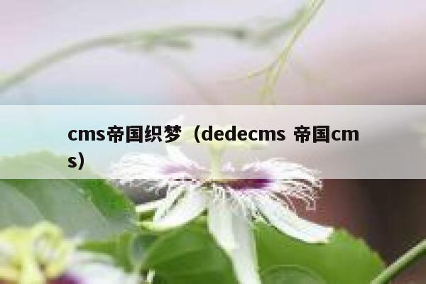 cms帝国织梦（dedecms 帝国cms）