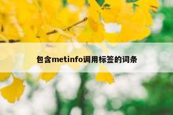 包含metinfo调用标签的词条