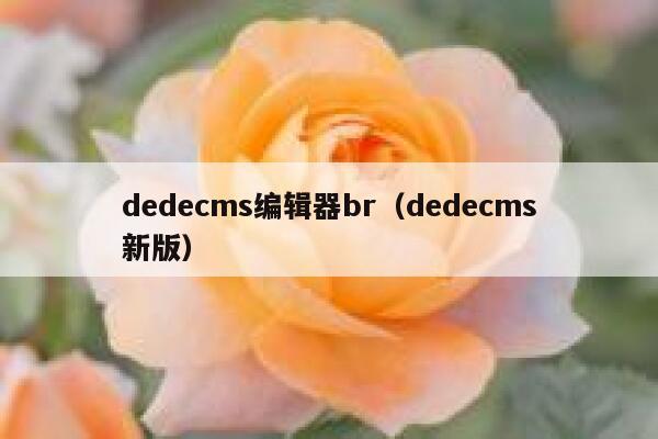 dedecms编辑器br（dedecms新版）