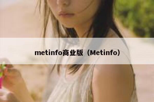 metinfo商业版（Metinfo）