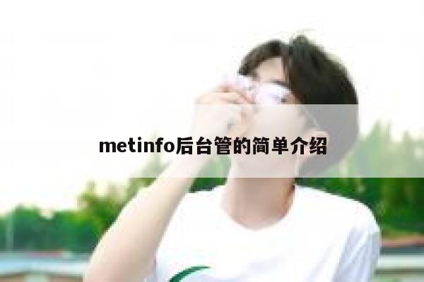 metinfo后台管的简单介绍 第1张