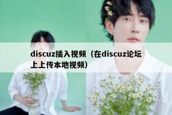 discuz插入视频（在discuz论坛上上传本地视频）