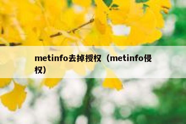 metinfo去掉授权（metinfo侵权）