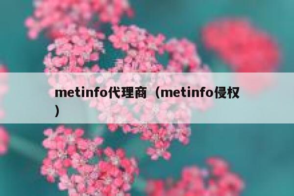 metinfo代理商（metinfo侵权）