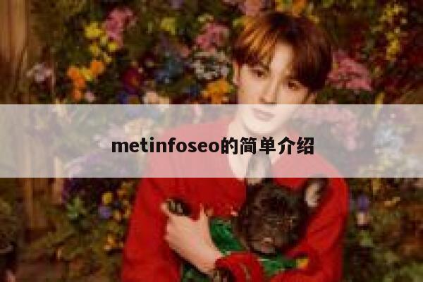 metinfoseo的简单介绍