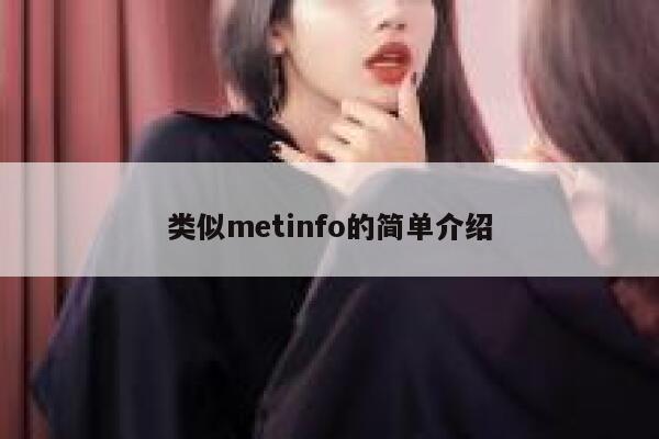 类似metinfo的简单介绍 第1张