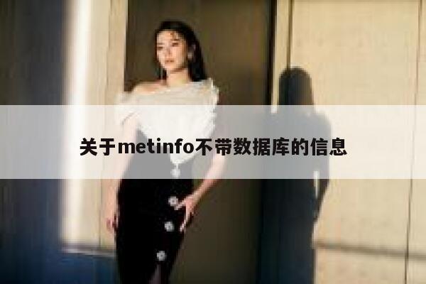 关于metinfo不带数据库的信息