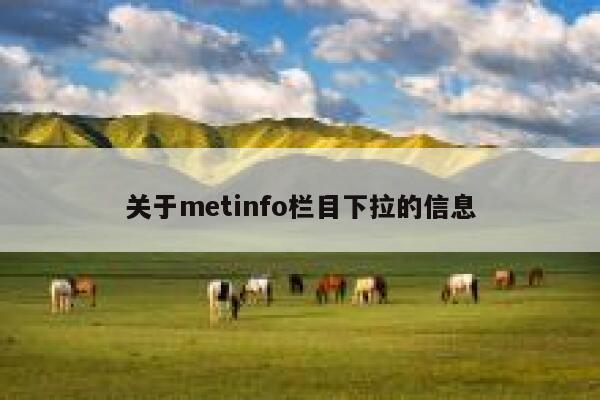 关于metinfo栏目下拉的信息 第1张