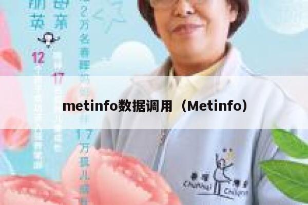 metinfo数据调用（Metinfo）