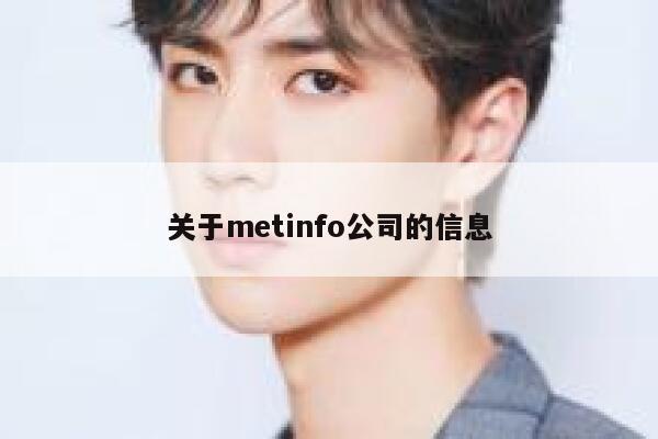 关于metinfo公司的信息