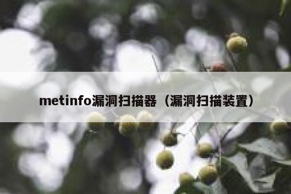 metinfo漏洞扫描器（漏洞扫描装置）