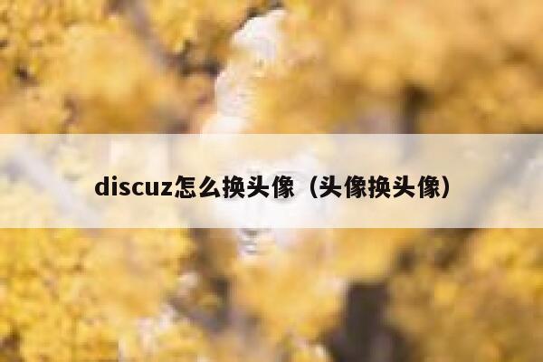 discuz怎么换头像（头像换头像）