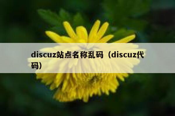 discuz站点名称乱码（discuz代码）