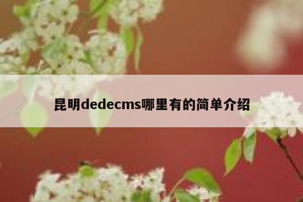 昆明dedecms哪里有的简单介绍