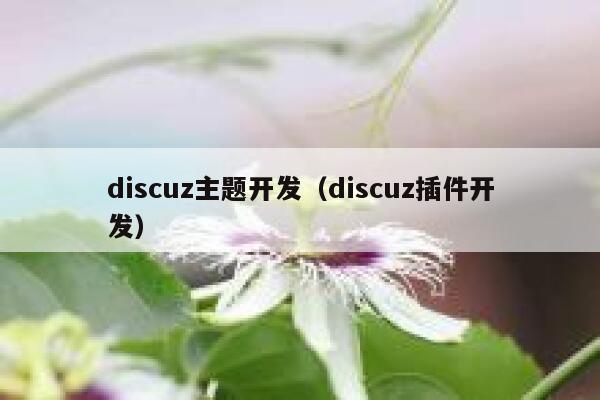 discuz主题开发（discuz插件开发）