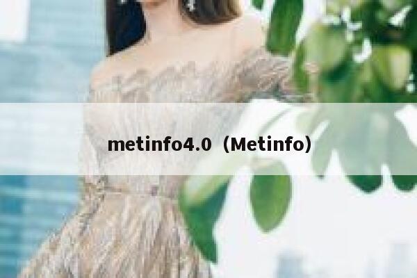 metinfo4.0（Metinfo）