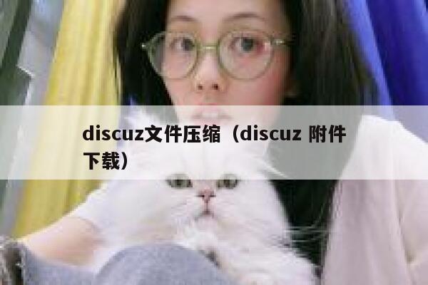 discuz文件压缩（discuz 附件下载）