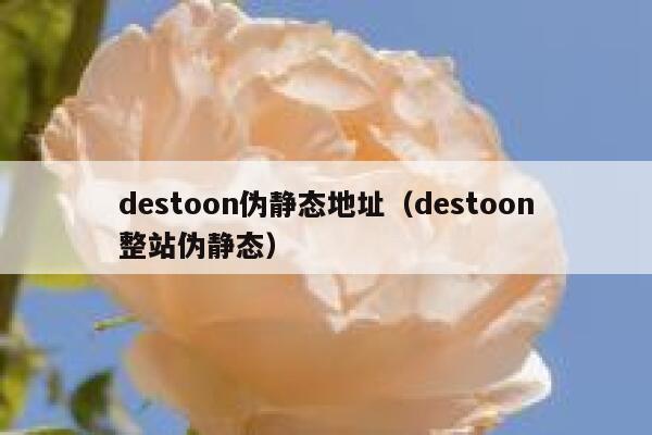 destoon伪静态地址（destoon整站伪静态）