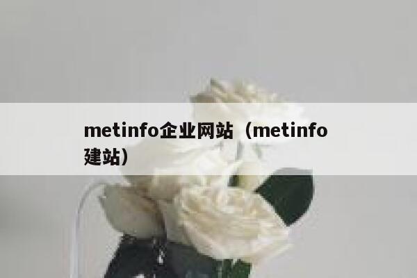 metinfo企业网站（metinfo 建站）