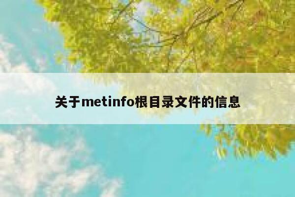 关于metinfo根目录文件的信息