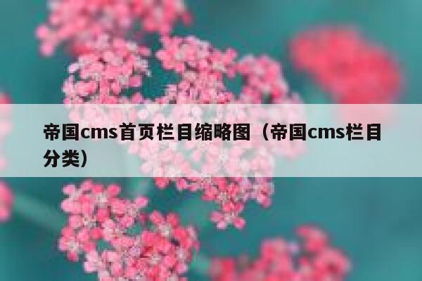 帝国cms首页栏目缩略图（帝国cms栏目分类）