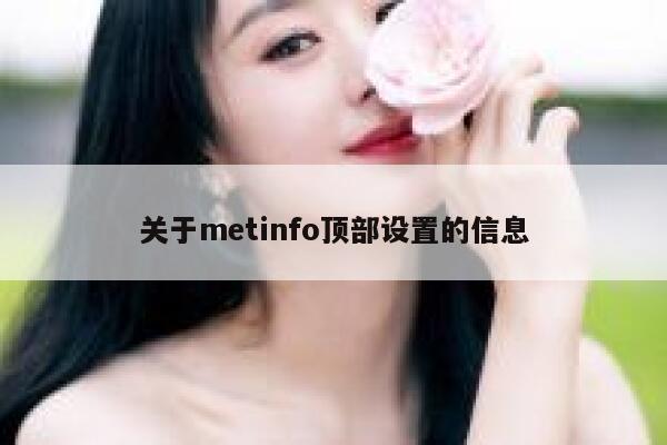 关于metinfo顶部设置的信息