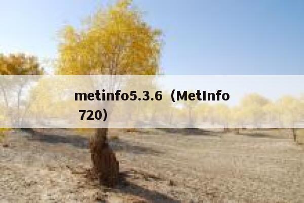 metinfo5.3.6（MetInfo 720）