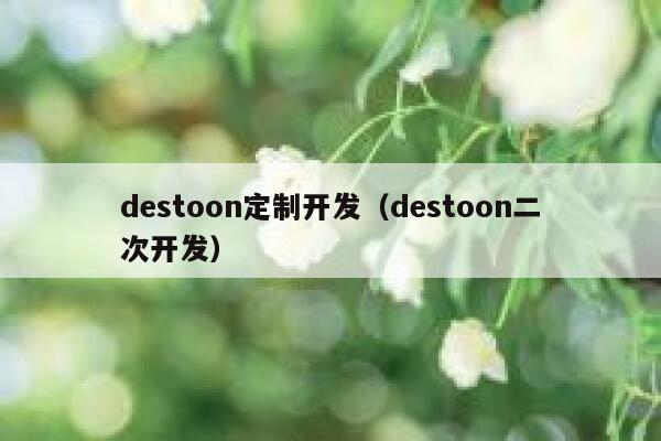 destoon定制开发（destoon二次开发）