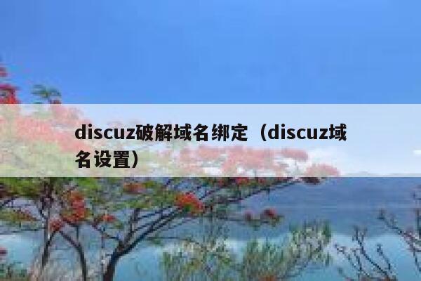 discuz破解域名绑定（discuz域名设置）