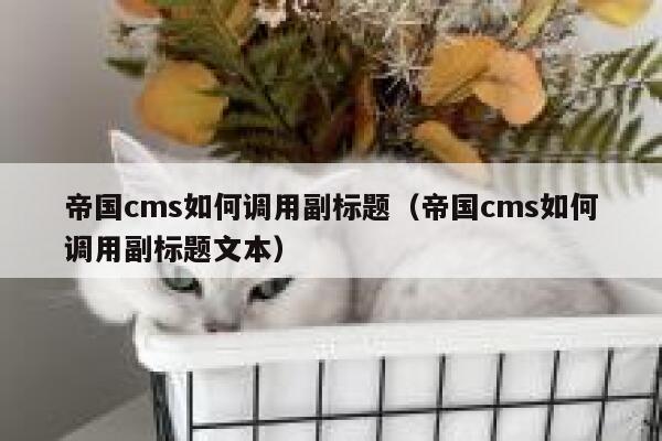 帝国cms如何调用副标题（帝国cms如何调用副标题文本）