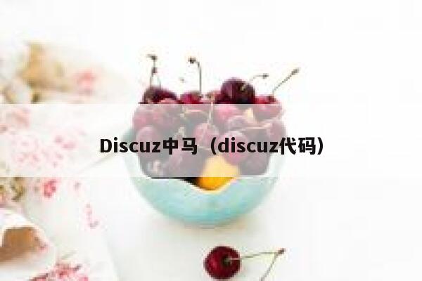 Discuz中马（discuz代码）