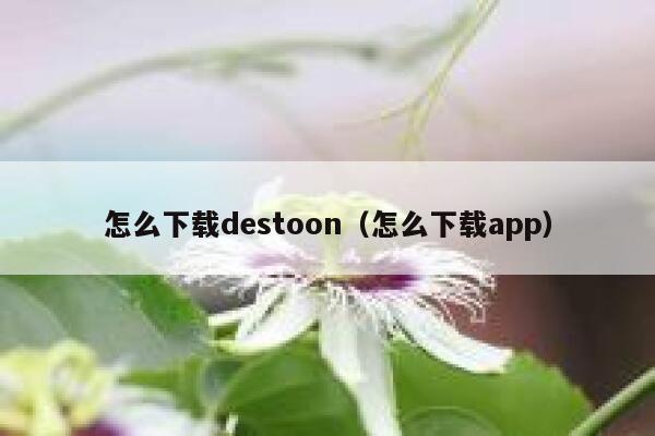 怎么下载destoon（怎么下载app）