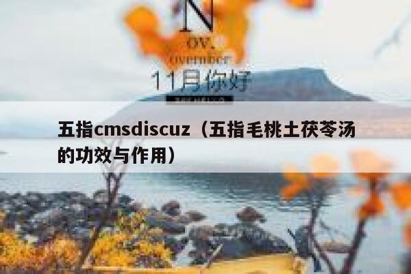 五指cmsdiscuz（五指毛桃土茯苓汤的功效与作用）