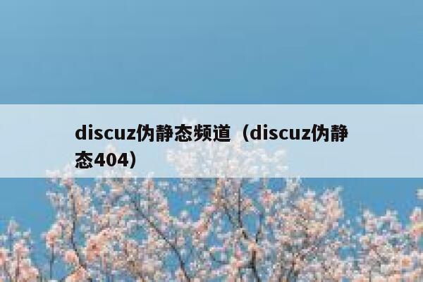 discuz伪静态频道（discuz伪静态404）