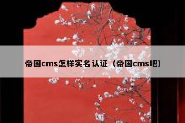 帝国cms怎样实名认证（帝国cms吧）