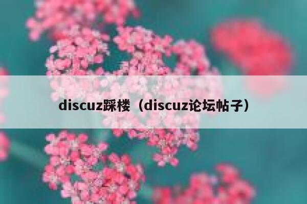 discuz踩楼（discuz论坛帖子）