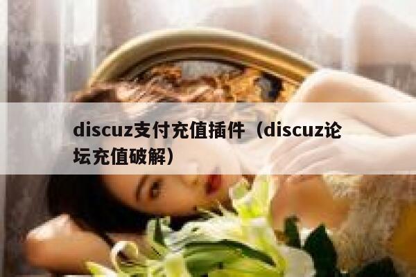 discuz支付充值插件（discuz论坛充值破解）