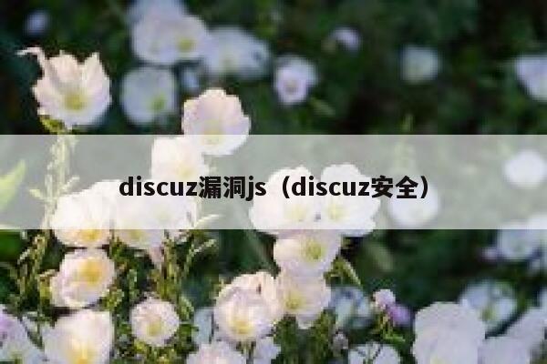 discuz漏洞js（discuz安全）