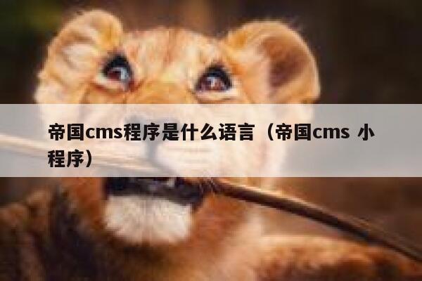 帝国cms程序是什么语言（帝国cms 小程序）