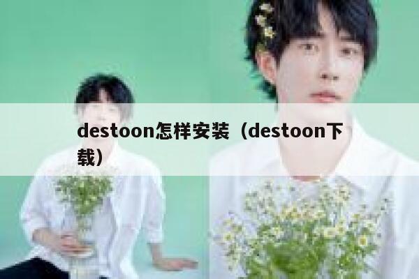 destoon怎样安装（destoon下载）