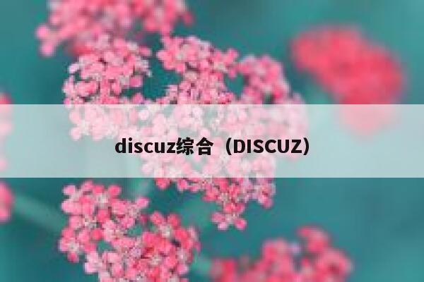 discuz综合（DISCUZ）