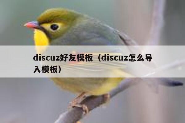 discuz好友模板（discuz怎么导入模板）