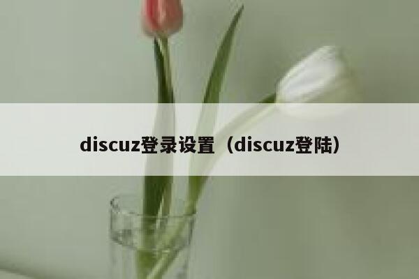 discuz登录设置（discuz登陆）