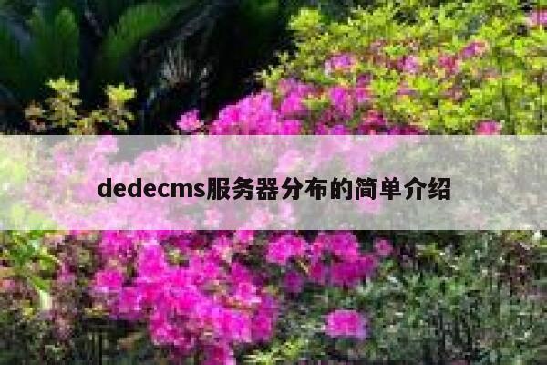 dedecms服务器分布的简单介绍