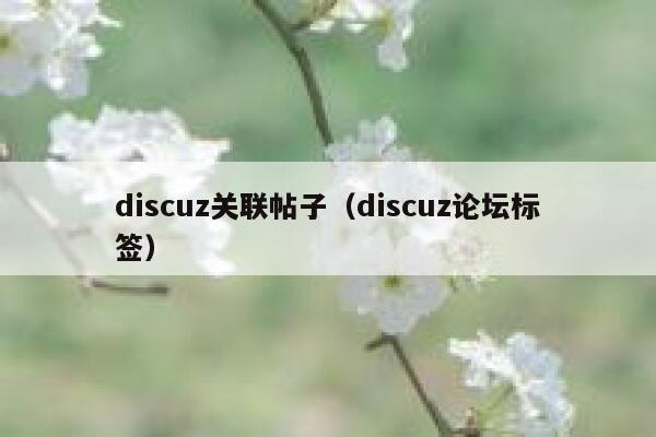 discuz关联帖子（discuz论坛标签）