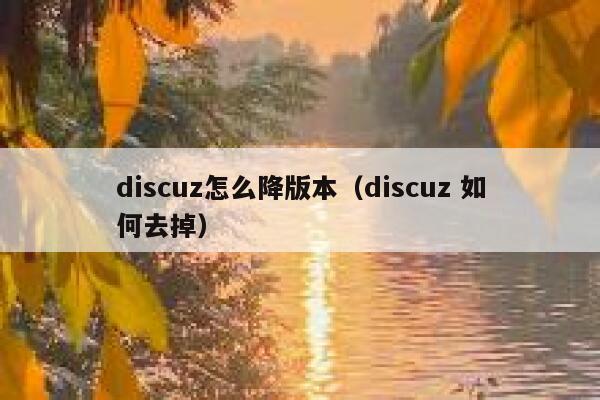 discuz怎么降版本（discuz 如何去掉）