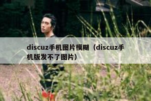 discuz手机图片模糊（discuz手机版发不了图片）