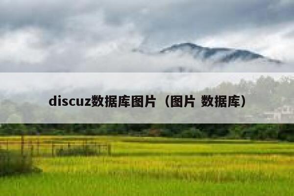 discuz数据库图片（图片 数据库）