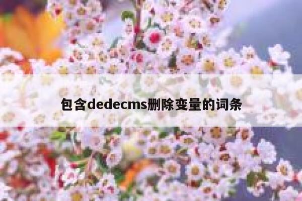 包含dedecms删除变量的词条 第1张