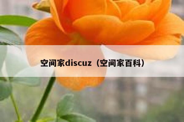 空间家discuz（空间家百科）